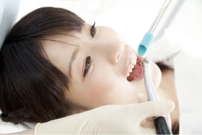 ドッグベストセメントとは